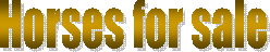Horses for sales